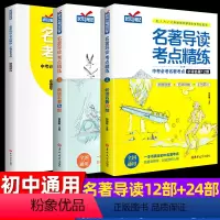 名著导读[赠考点练习册]3册 初中通用 [正版]名著导读考点精练初中生阅读名著导读与考点中外文学名著阅读理解专项训练书考