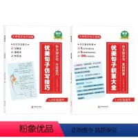 [2册]优美句子积累+方法技巧 [正版]2024小学语文优美句子积累大全仿写技巧修辞手法专项训练小学生一二三年级上册下册