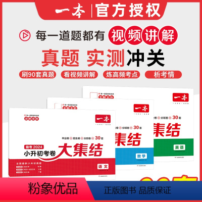 语数英 [正版]2024小升初冲刺新卷语文数学英语人教版小升初真题卷六年级下册试卷测试卷全套专项训练总复习分类卷子名校考