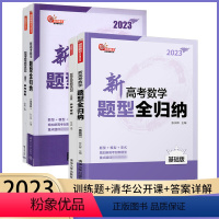 题型全归纳全套2本 新高考数学 [正版]2023版新高考数学题型全归纳基础版+提高版洞穿高考文理科数学通用联合高二高三总