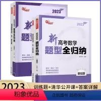 题型全归纳全套2本 新高考数学 [正版]2023版新高考数学题型全归纳基础版+提高版洞穿高考文理科数学通用联合高二高三总