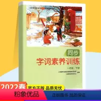 字词素养训练一年级下册 [正版]小学语文字词素养训练人教版小学一二三四五六年级下册同步练习册辅导期中期末冲刺100分阅读