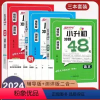 [套装3本]语文+数学+英语 小学升初中 [正版]2024新版阳光同学小升初冲刺48天语文数学英语辅导版+测评版小学毕业
