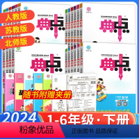 典中点-语文[人教版] 一年级下 [正版]2024春典中点一二三四五六年级下册语文数学英语人教苏教北师版荣德基小学123