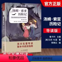 汤姆.索亚历险记 初中通用 [正版]2022经典名著阅读初中生英文名著导读整本书阅读指南汤姆索亚历险记夏洛的网小王子彼得