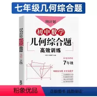 周计划 初中数学几何综合题高效训练 7年级 七年级/初中一年级 [正版]初中课外文言文阅读训练周计划阅读训练120篇数学