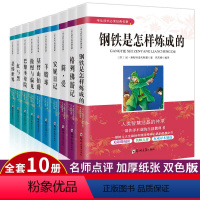 世界十大名著10册装 [正版]世界十大名著全套10册简爱书籍巴黎圣母院傲慢与偏见悲惨世界基督山伯爵原著文学书经典小说