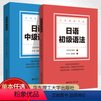 初级+中级[2本套装] 高中通用 [正版]日语初级语法中级日语原版引进 同步语法阅读资料书 市川保子著 日语会话例句语法