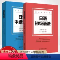 初级+中级[2本套装] 高中通用 [正版]日语初级语法中级日语原版引进 同步语法阅读资料书 市川保子著 日语会话例句语法