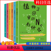 全套六册 [正版]儿童科普百科N个为什么二十四节气里的N个为什么关键时刻可以救命的N个为什么实汉语里的N个为什么儿童百科