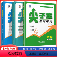 尖子生 课时培优[数学] 七年级/初中一年级 [正版]2024新版 尖子生课时培优七年级八年级九年级数学培优训练初中拔高