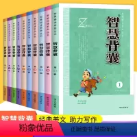 智慧背囊1-10辑[10册] 初中通用 [正版]2023版智慧背囊1-10辑共十本大全集中小学生版初中全套作文素材课外阅