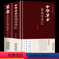 [正版]全2册中华草书大字典常用字字汇 孙过庭 智永 怀素 王羲之 黄庭坚 米芾 等毛笔书法字体草书书法作品集 草书毛