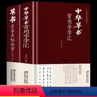 [正版]全2册中华草书大字典常用字字汇 孙过庭 智永 怀素 王羲之 黄庭坚 米芾 等毛笔书法字体草书书法作品集 草书毛