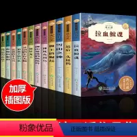 [正版]全套12册 沈石溪著动物小说系列珍藏版三四五六年级学生课外书必读雪山之神狮王的崛起后一头猛犸象儿童文学书故