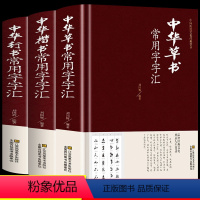 [正版]全3册 中华草书大字典常用字 含 孙过庭 智永 怀素 王羲之 黄庭坚 米芾 等毛笔书法字体草书书法作品集 草书