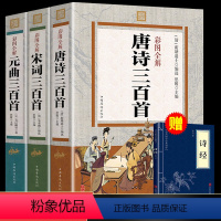 [正版]唐诗宋词元曲三百首全集 1296页 彩图全解 古诗大全集书全 古诗词鉴赏词典赏析诗歌书籍经典精选诗集 小学生3