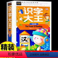 [正版]精装硬壳识字大王 幼小衔接幼儿拼音拼读训练识字书 3岁儿童益智启蒙宝宝书本早教书看图说话全脑开发思维书幼儿园学