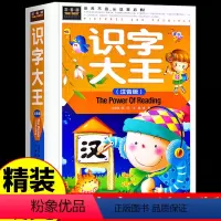 [正版]精装硬壳识字大王 幼小衔接幼儿拼音拼读训练识字书 3岁儿童益智启蒙宝宝书本早教书看图说话全脑开发思维书幼儿园学