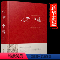 [正版]硬壳精装大学中庸译注完整版 儒家国学经典书籍文白对照论语孟子书原文注释译文中国哲学入门书排行榜成人通解与智