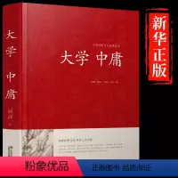 [正版]硬壳精装大学中庸译注完整版 儒家国学经典书籍文白对照论语孟子书原文注释译文中国哲学入门书排行榜成人通解与智