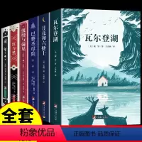 [6册]瓦尔登湖+六便士+傲慢+红与黑+圣母院+童年 [正版]瓦尔登湖原著 梭罗力著王光林全译本完整无删减 外国现当代文