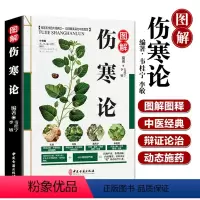 [正版]伤寒论 张仲景原著全集 图解伤寒杂病论白话解中医四大名著之一养生书籍大全医学全书中医知识自学入门零基础学中医古