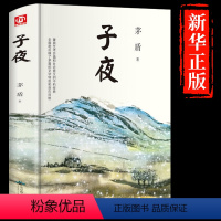 [正版]子夜 书籍 茅盾 初中生语文 中学生课外阅读名作家导读儿童文学 提升写作书籍必读 中国现代长篇文学 奖获奖作