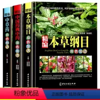 [正版]精编3册本草纲目中草药中国药典原彩色图谱图鉴精装中医基础理论医学入门常用中药方剂药材草药识别大全古代医药百科全