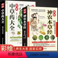[正版]全套2册图解神农本草经中草药彩图大全书中医中药书籍大全中药学古籍出版社 本草纲目 中药材医书 中草药 配方中药