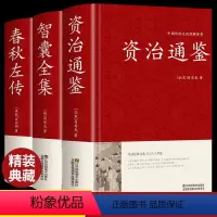 [正版]精装全3册资治通鉴+智囊全集+春秋左传全册原著原版完整版历史类书籍故事白话文加译文历史榜资质通鉴续白话精选本冯