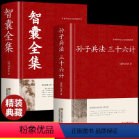 [正版]全套2册 孙子兵法与三十六计和智囊全集解读白话文全注译浅说政治成人谋略兵书36计小学生儿童现代解释版国学经典书