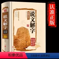 [正版]超大本精装说文解字完整全版 许慎著图文解读儿童学习汉字咬文嚼字细说汉字的故事初中小学高中国学读物常用古代汉语字