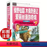 [正版]绿野仙踪 木偶奇遇记 爱丽丝漫游奇境记全集书注音版免邮小学生二年级一年级三课外书班主任阅读适合1-2-3孩子读