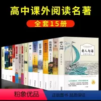[正版]全15册 高一语文名著巴黎圣母院必读老人与海呐喊复活堂吉诃德高老头哈姆雷特子夜老师阅读书籍全套 高中生课外书经
