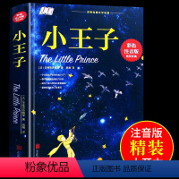 [正版]小王子注音版 一年级二年级阅读课外书必读老师适合小学生看的书籍儿童故事书大全幼儿园6岁以上童话女孩睡前十分钟三