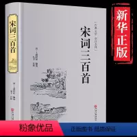 [正版]精装宋词三百首全集鉴赏辞典中国古诗词大全集书赏析诗词歌赋书籍全成人选注古代古典文学精选中华书局选中华好诗词大会