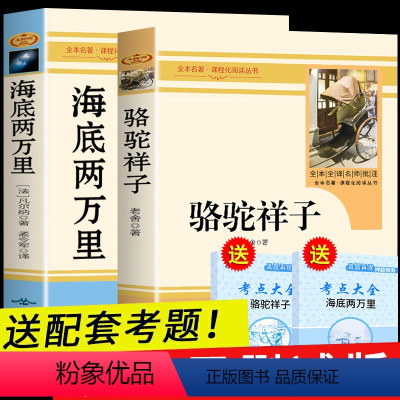 [正版]七年级下必读全套2册 海底两万里和骆驼祥子书老舍原著初一下册课外阅读书籍图书老师初中生阅读名著2万里考点册