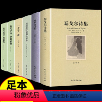 [全套5册]泰戈尔+普希金+莫泊桑+一千零一夜+荷马史诗 [正版]泰戈尔诗集诗选 包含飞鸟集新月集 吉檀迦利 园丁集 流