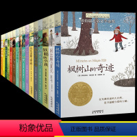 [正版]长青藤国际大奖小说JST全套常青藤小学生课外阅读书籍非必读 适合三四年级五六年级的初中生初一名著儿童读物经典书