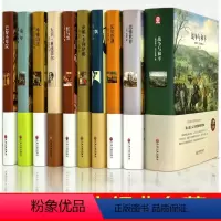 世界名著 全10册 [正版]世界十大名著书籍全套原著精装JST巴黎圣母院 飘 呼啸山庄 红与黑六年级小学生阅读初中生七年