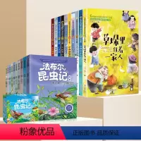 [彩图注音全20册]昆虫记+获奖儿童文学 [正版]全套10册法布尔昆虫记三年级非必读注音版JST彩图美绘原著完整版一二年