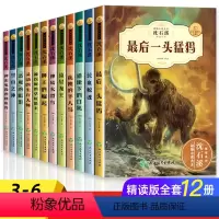 [全套12册]沈石溪动物小说1+2辑 [正版]沈石溪动物绘本珍藏版全10册 沈石溪动物小说全集JST四五六三年级小学生课