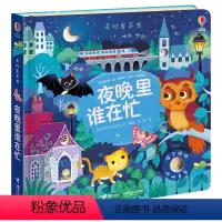 [正版]尤斯伯恩奇妙发声书 JST夜晚里谁在忙 usborne儿童绘本0-1到2-3岁宝宝有声立体书婴儿早教阅读故事书