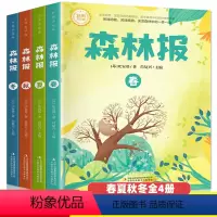 森林报春夏秋冬全4册 [正版]森林报春夏秋冬全四册彩图版全套4册全集 苏联维比安基著儿童科普故事绘本系列三年级五四年级下