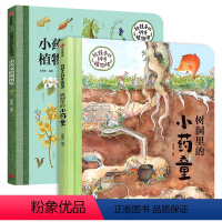 给孩子的神奇植物 全2册 [正版]给孩子的神奇植物课全2册 JST树洞里的小药童植物图鉴5-12岁儿童植物百科全书小学生