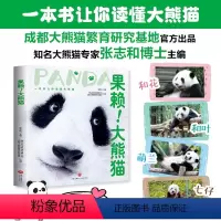 果赖!大熊猫 [正版]赠萌趣熊猫笔记本+“女明星花花