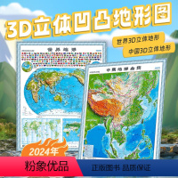 世界地形+中国地形 [正版]世界地形+中国地形全图 3D国家版图系列立体图 JST竖版地图立体凹凸地图中国地形图高清精雕