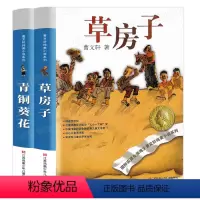 青铜葵花+草房子 [正版]亲爱的汉修先生三年级书 二年级四年级课外书适读 儿童读物书目新蕾出版社国际大奖小说小学生课外阅