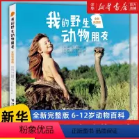 [正版]完整版 我的动物朋友 蒂皮 德格雷接力出版社 我和動物朋友们书儿童书籍四年级二年级三年级五非注音版云南教育动物